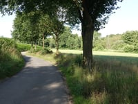 Nijsenberg