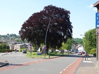 Nijswillerberg von Simpelveld