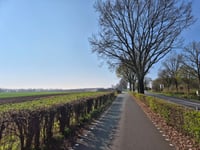 Nijswillerberg von Simpelveld