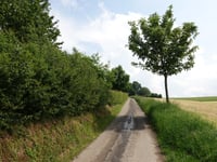 Nijswillerpad von Overeys
