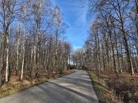Nispert from Eupen
