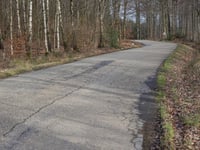 Nispert from Eupen