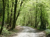 Nivezé Bas / Haut Balmoral