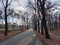 Noetselerberg from Nijverdal