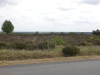 Noetselerberg from Nijverdal