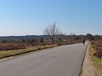 Noetselerberg from Nijverdal
