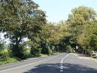 Nordfriedhof Alsdorf von Boscheln