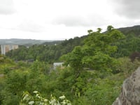 Nordnæsdalen von Fyllingsdalen