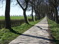 Notendreef von Martenslinde