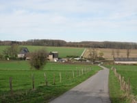 Nothberger Weg von Burg Holzheim