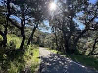 Notre Dame des Anges von Collobrières über Col des Fourches