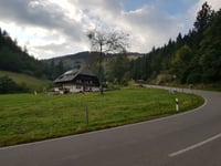 Notschrei von Kirchzarten