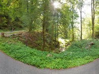 Notschrei da Todtnau