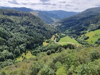 Notschrei desde Todtnau