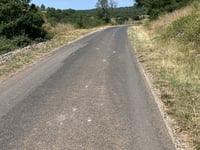 Novis von Le Puech