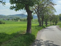 Nowy Julianów von Dziećmorowice