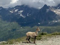 Nufenenpass da Airolo