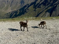 Nufenenpass da Airolo