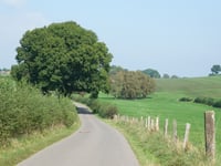 Nütheimer Strasse von Nütheim