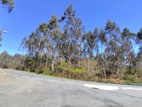 O Cotón de Matamulleres depuis Barcia