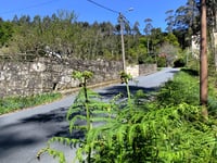 O Pedroso depuis As Moas de Abaixo