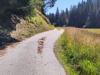 Ober Dutjen depuis Valendas