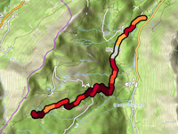 Obere Alpe Bierenwang über Schwand