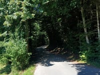Oberer Riederenweg da Steffisburg