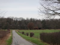 Oberforstbach über Ritscheider Weg