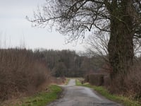 Oberforstbach über Ritscheider Weg
