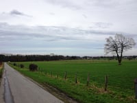 Oberforstbach über Ritscheider Weg