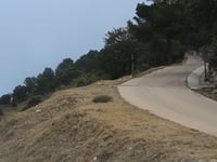 Observatorio Forestal Reconco da Campo de Mirra