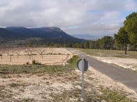 Observatorio Forestal Reconco von Onil
