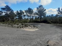 Observatorio Forestal Reconco da Villena