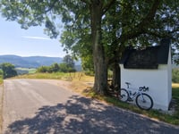 Ochsenheidstrasse via Waidmannsfeld