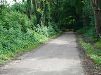 Ochsenstock da Bocholtz
