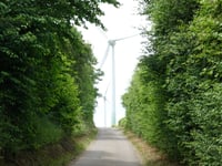 Ochsenstock da Bocholtz