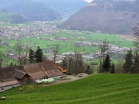 Ochsenweidli from Buochs