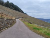 Ockfener Bockstein von Ockfen