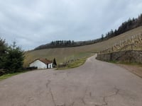 Ockfener Bockstein von Ockfen