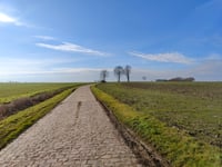 Oedelemberg Northwest