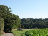 Ofdener Heide von Broicher Mühle