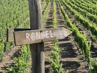 Ohligsberg von Rondelbach