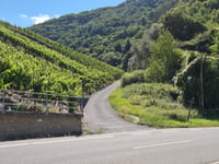 Ohligsberg von Rondelbach