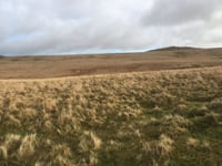 Okement Hill depuis Okehampton par Hart Tor