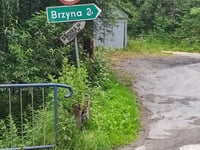 Okrąglica Północna from Kamieńczyk