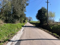 Old Chard Road Ost