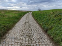Oliestraat von Veeweide