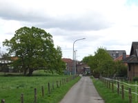Oligsdriesch von Jüngersdorf