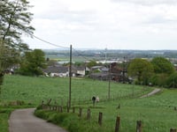 Oligsdriesch von Jüngersdorf